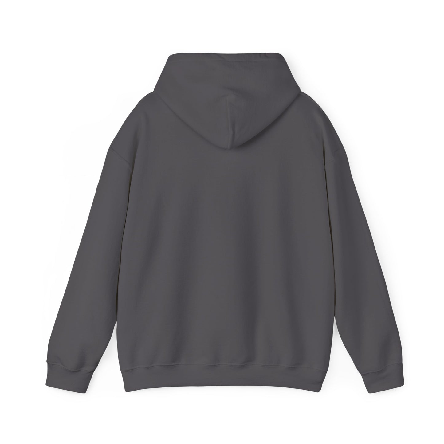 Men's Freedom Sounds Hoodies