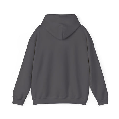 Men's Freedom Sounds Hoodies